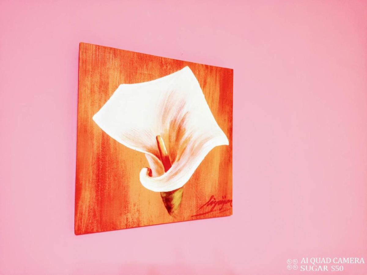 Zill Homestay Ji'an Exterior foto
